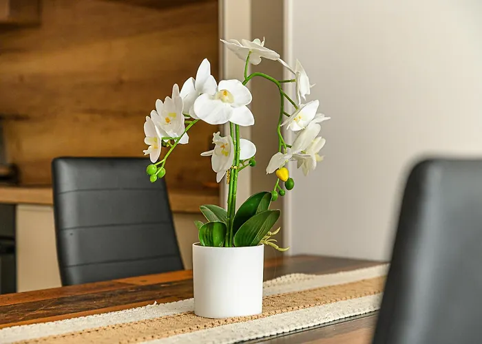 Elite -chic Serenity With Ac In A Free Park Zone *