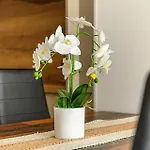 Elite -chic Serenity With Ac In A Free Park Zone *